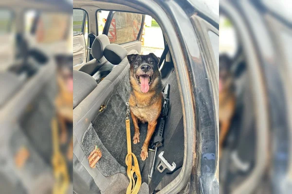 O fuzil foi localizado no carro que transportava um dos recapturados, com a utilização de um cão farejador