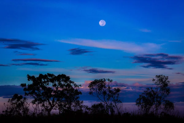 Céu da Chapada dos Veadeiros (GO)