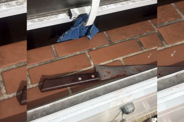 Foto colorida de faca usada em ataque a mãe e filho em janela.
