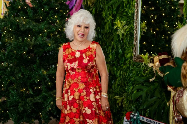 AMA Brasília festeja conquistas de 2023 com célebre festa de Natal
