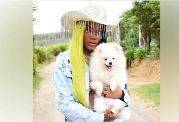 Cachorro de Ludmilla morre e cantora faz desabafo emocionante