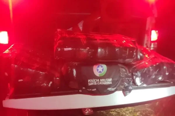 Imagem colorida mostra carga achada após o ocorrido - Metrópoles