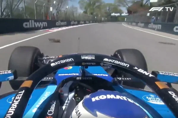 F1: Alexander Albon bate o carro após atropelar marmota. Veja vídeo