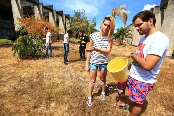 Jardins da UnB estão sem manutenção e alunos se mobilizam