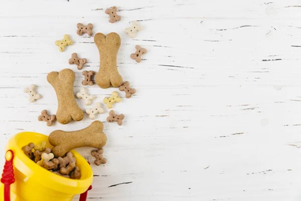 Petisco para adestramento de cães: como escolher?