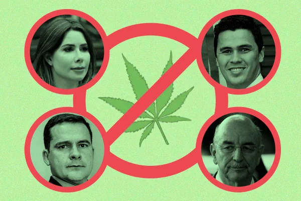 Tropa de choque do governo segura avanço do PL da maconha medicinal
