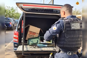Objeto estava em em via pública, na Quadra 8 do Setor Complementar de Indústria e Abastecimento (SCIA).
