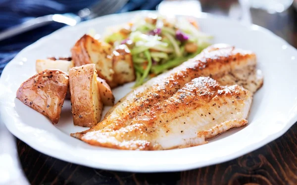 Receitas fáceis com peixe para uma deliciosa refeição em casa