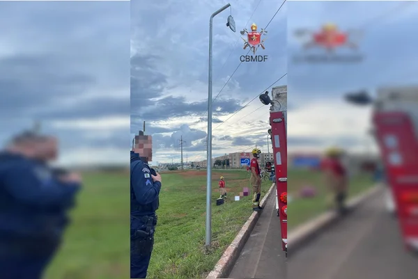 Motociclista colide contra poste