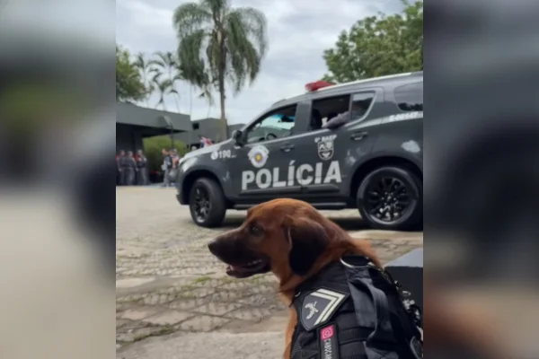 Afastado da PM, cão Cabo Caramelo diverte a web com “nova rotina”