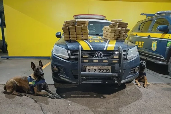 Imagem colorida mostra cães da Polícia Rodoviária Federal ao lado de carro com pacotes de pasta base de cocaína encontrada com dois bolivianos no interior de São Paulo - Metrópoles