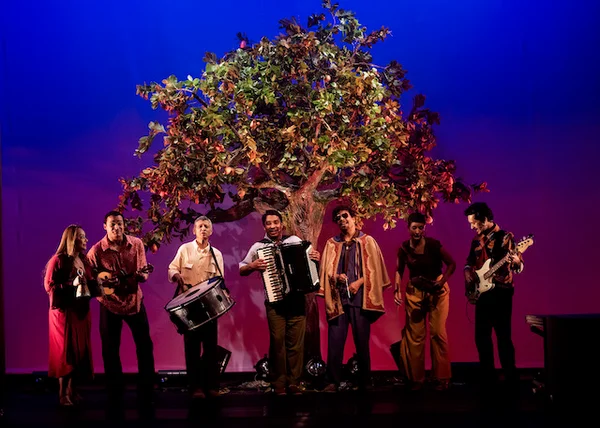 Imagem Colorida - Musical Dominguinhos