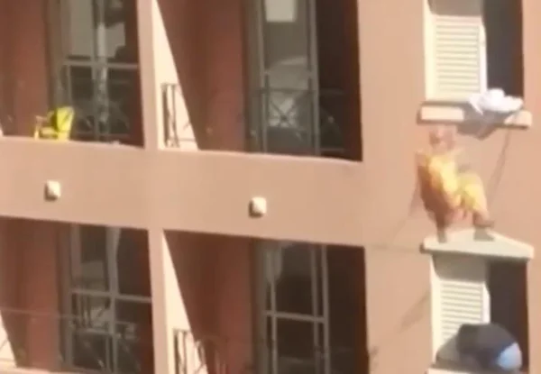 Bombeiro salva jovem que ameaçava se jogar do 3º andar em Uberlândia