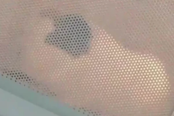 Adolescente diz ter sofrido ameaças após colocar roedor em micro-ondas