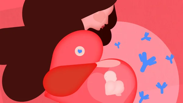 Arte colorida em ton vermelho, rosa, azul e marrom de uma mulher segurando a barriga onde se encontra um feto - Metrópoles.
