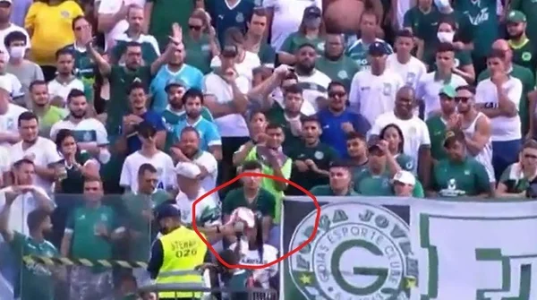 goias torcedora bolada