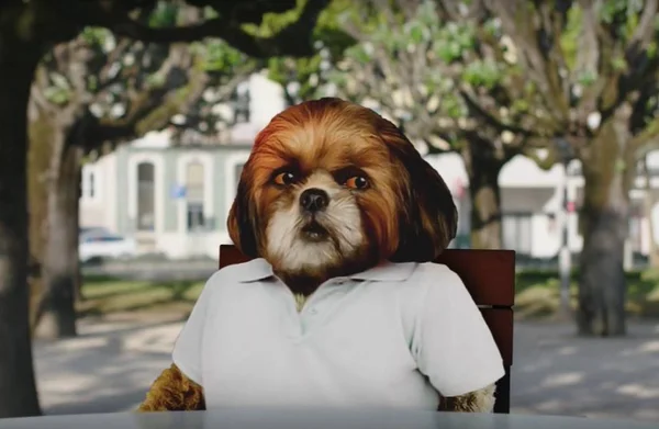 O Filme do Bruno Aleixo: sensação da internet estreia nos cinemas