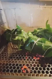 Folha de bananeira ajuda peixe a pegar o sabor da brasa sem desmanchar ou ressecar