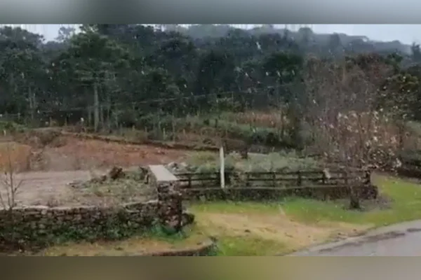 Cidade em Santa Catarina registra primeira neve neste ano