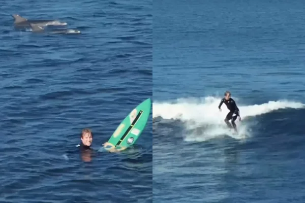 Foto colorida de surfista com golfinho - Metrópoles