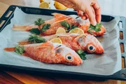 Esse peixe é uma fonte de proteína completa