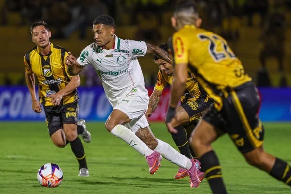 FPF confirma data e horário das finais do Campeonato Paulista
