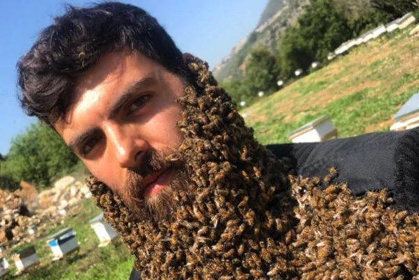 Apicultor bomba na web com vídeos onde aparece coberto por abelhas