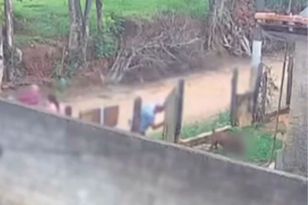 Bebê de 10 meses morre após ser atacado por pitbull no interior de SP - Metrópoles