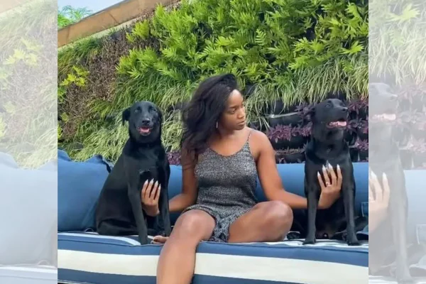 foto coloriza Iza com seus cachorros