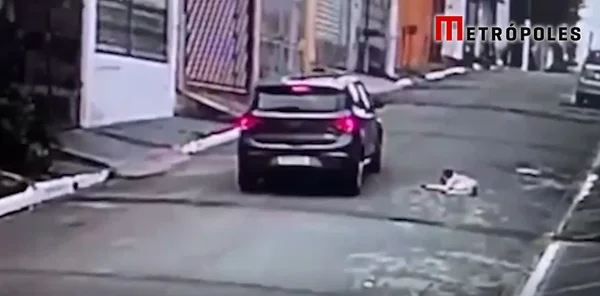Vídeo: nigeriano é preso após atropelar e matar cão de propósito em SP - destaque galeria Vídeo: nigeriano é preso após atropelar e matar cão de propósito em SP - destaque galeria