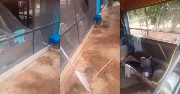 imagem colorida onça volta ao local onde atacou caseiro