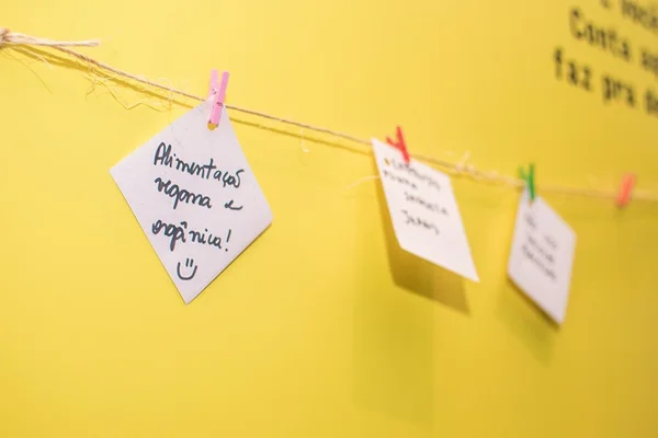 Malha, espaço que fomenta a moda colaborativa, estreia em Brasília