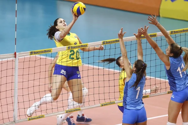 Copa do Mundo: Seleção feminina de vôlei inicia preparação em Tóquio