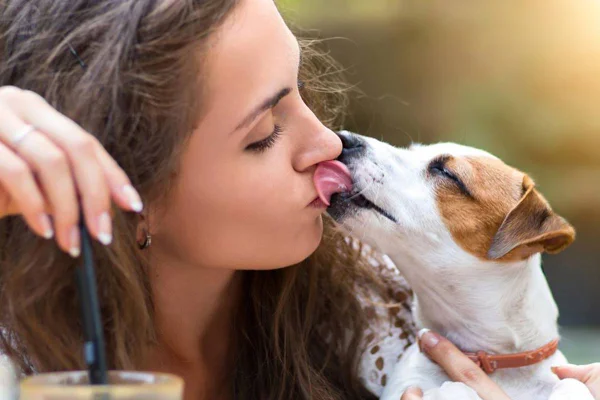 Cachorro lambendo a boca de uma mulher