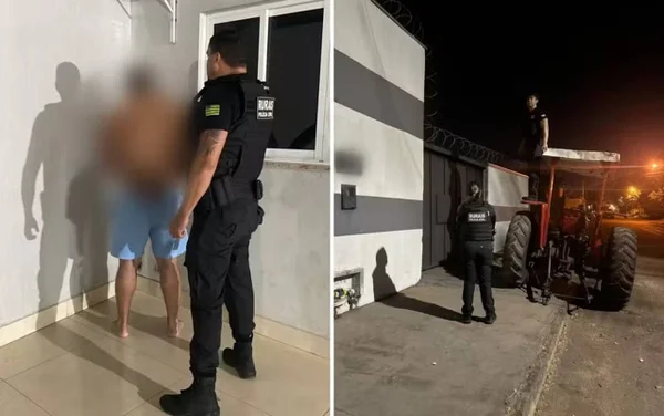 imagem colorida operação paper ox contra fraude transito animal goias