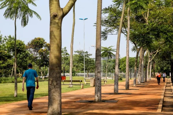 Cidade de São Paulo registrou ventos de mais de 80 km/h nesta quarta-feira (10/12). Semil fechou 12 parques urbanos na capital e Grande SP - Metrópoles