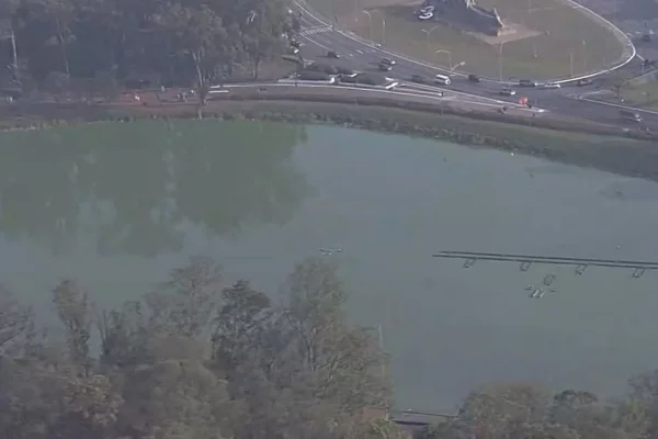 Combinação de altas temperaturas e falta de chuvas favoreceu crescimento de algas no lago do Parque Ibirapuera - Metrópoles