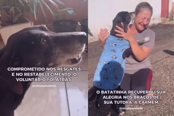 Cão que não parava de chorar reencontra a dona e causa comoção no RS