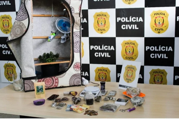 maconha apreendida
