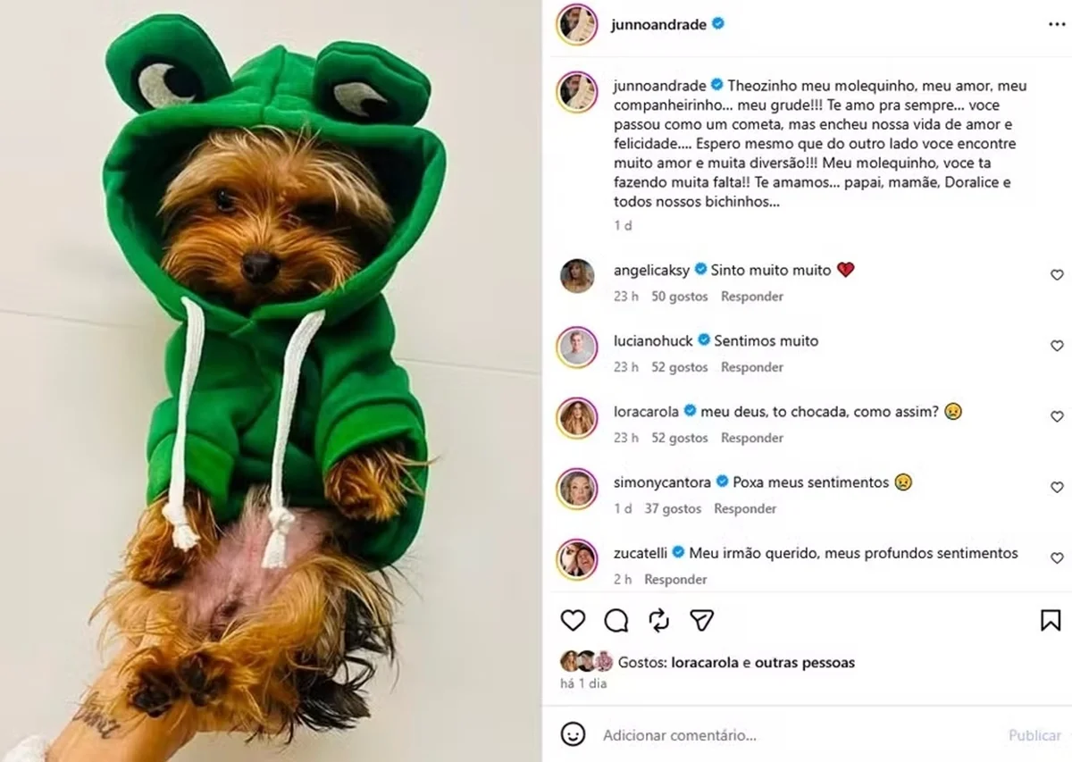 Junno Andrade emociona ao se despedir de pet: "Tá fazendo muita falta" Junno Andrade emociona ao se despedir de pet: "Tá fazendo muita falta"