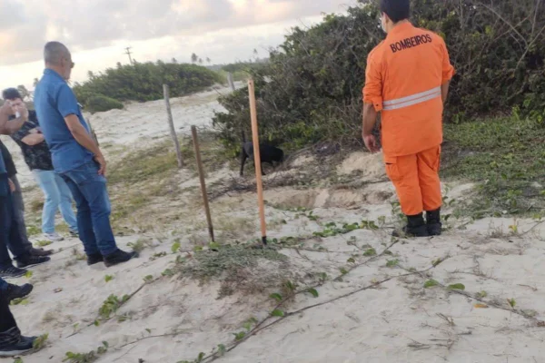 SE: polícia prende três suspeitos por homicídio e ocultação de cadáver