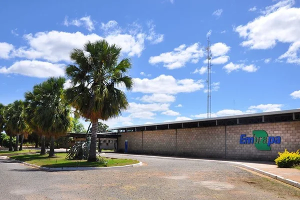 Imagam mostra local ligado à Embrapa, que teve uma fazenda ocupada pelo MST - Metrópoles