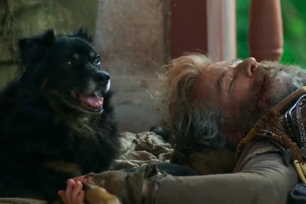 Cachorro de novela segue corpo de personagem morto e comove a web