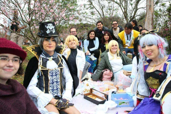 Simone Tebet e o piquenique de cosplayers
