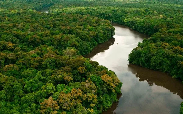 “Extinção atinge reserva mineral e não ambiental”, diz governo sobre Renca