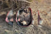 Polícia busca identificar de quem é a ossada humana em mala Polícia busca identificar de quem é a ossada humana em mala