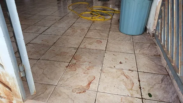 DF: assaltante foi morto a facadas após dar coronhada em idosa