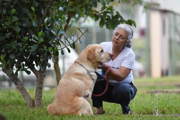 Aplicativo Dog Hero passa a oferecer passeios com cães em Brasília
