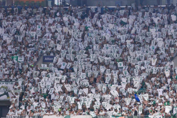 Imagem colorida da torcida Mancha Verde - Metrópoles