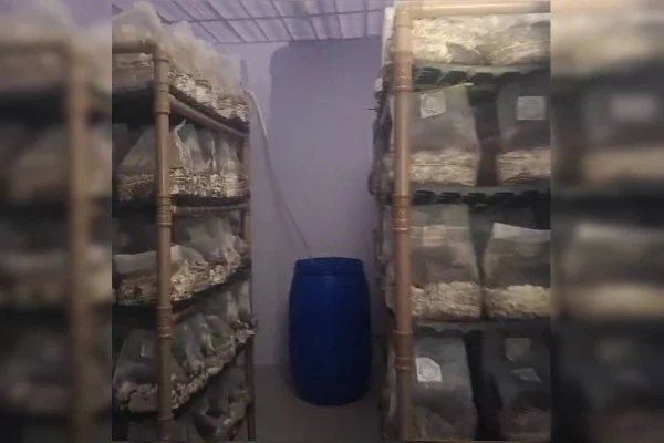 Foto colorida de um dos cômodos da laboratório de produção de cogumelos